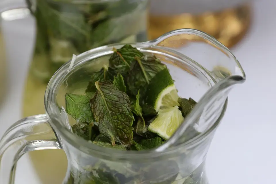 Caux Transport Services — photo 7