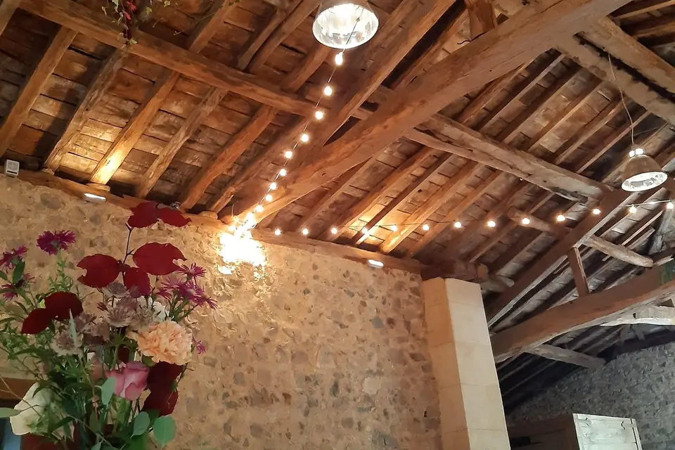 La Belle Verte — photo 4