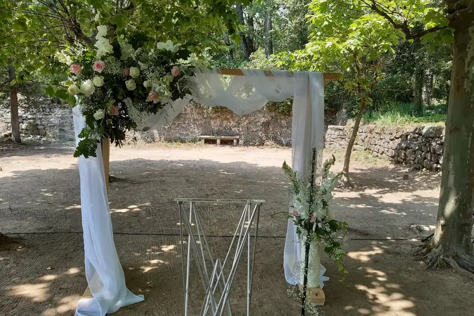 La Belle Verte — photo 2