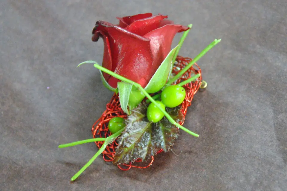 L'échoppe bis — photo 7