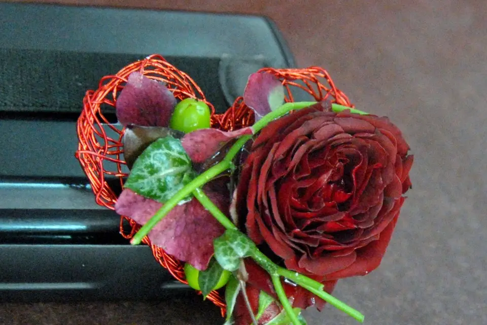 L'échoppe bis — photo 8