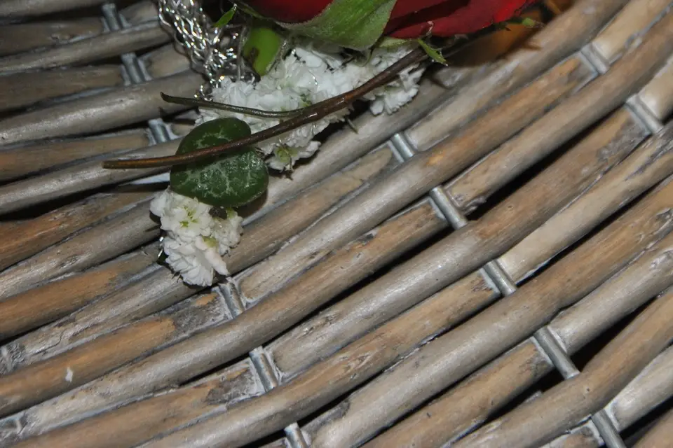 L'échoppe bis — photo 5