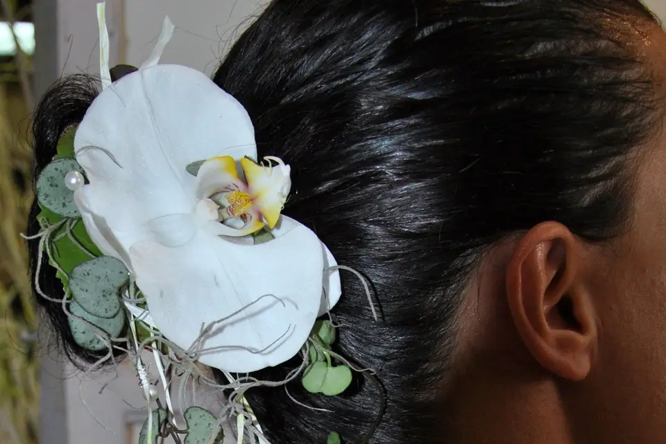 L'échoppe bis — photo 3