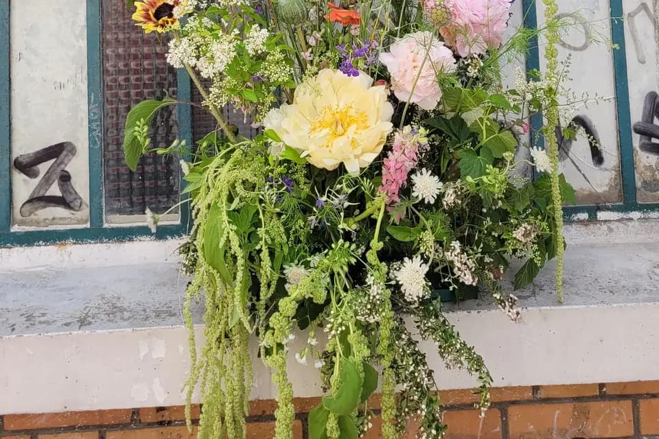 Atelier Cosmos — photo 1