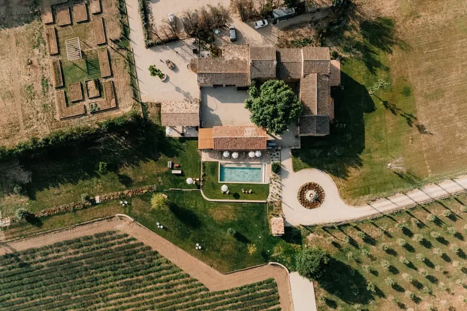 Terres Elaïs — photo 4