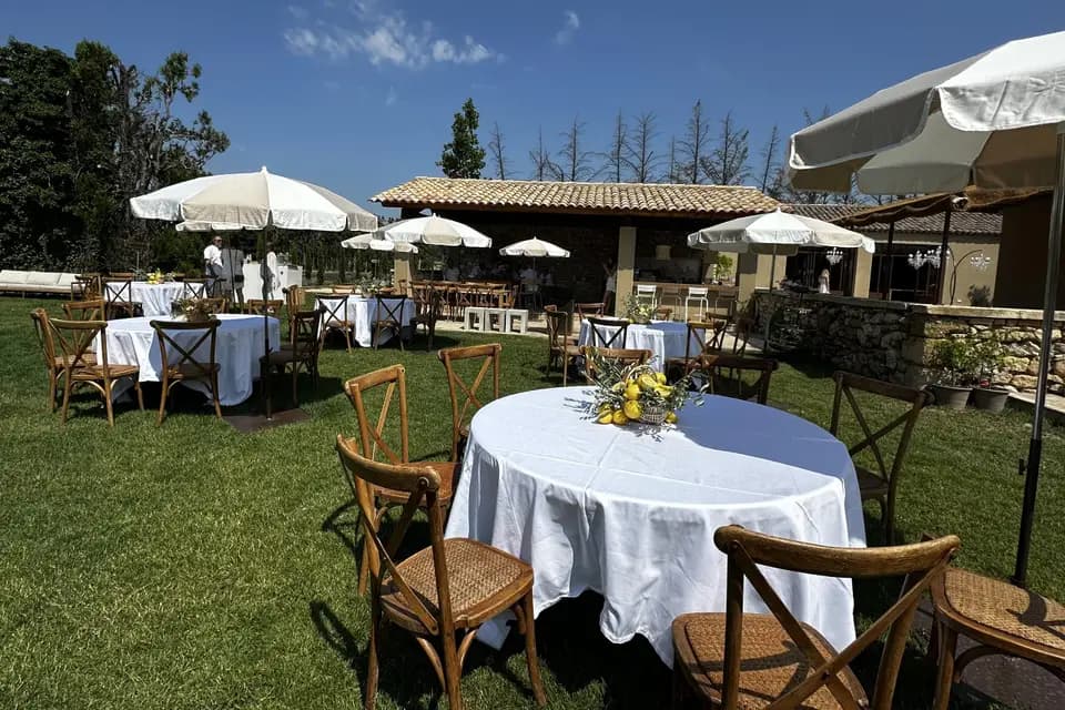 Terres Elaïs — photo 8