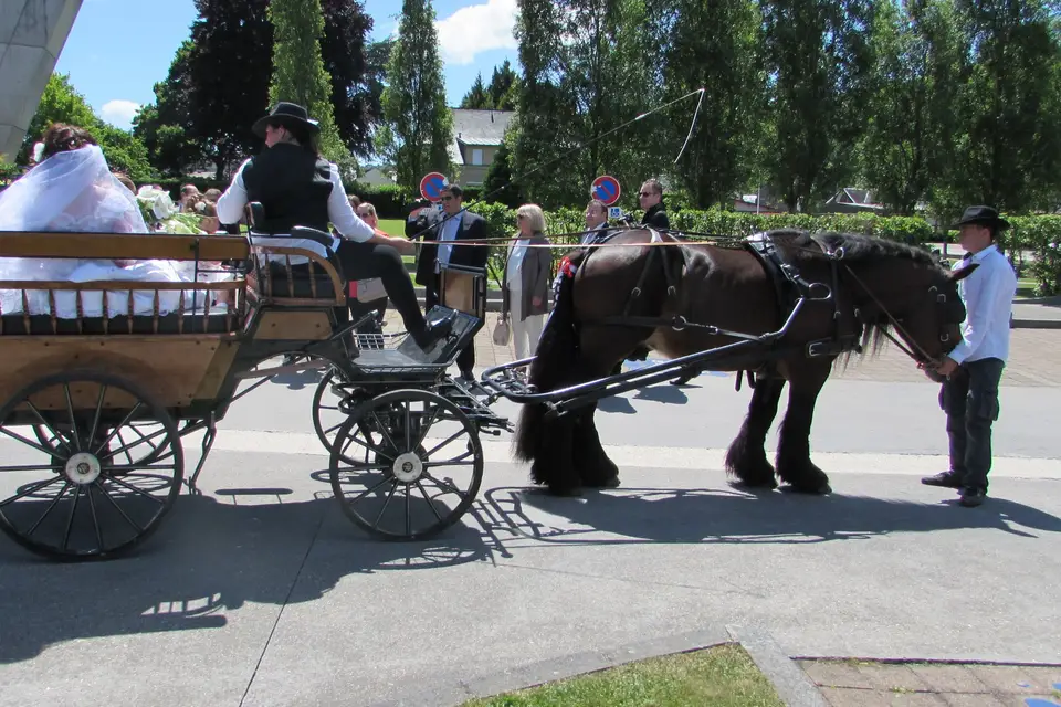 Passion calèche — photo 8