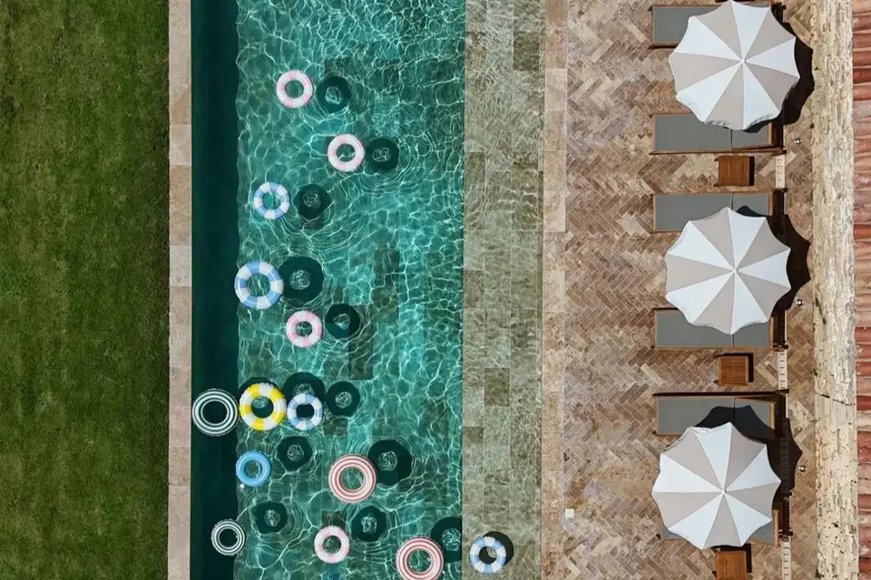 Terres Elaïs — photo 1