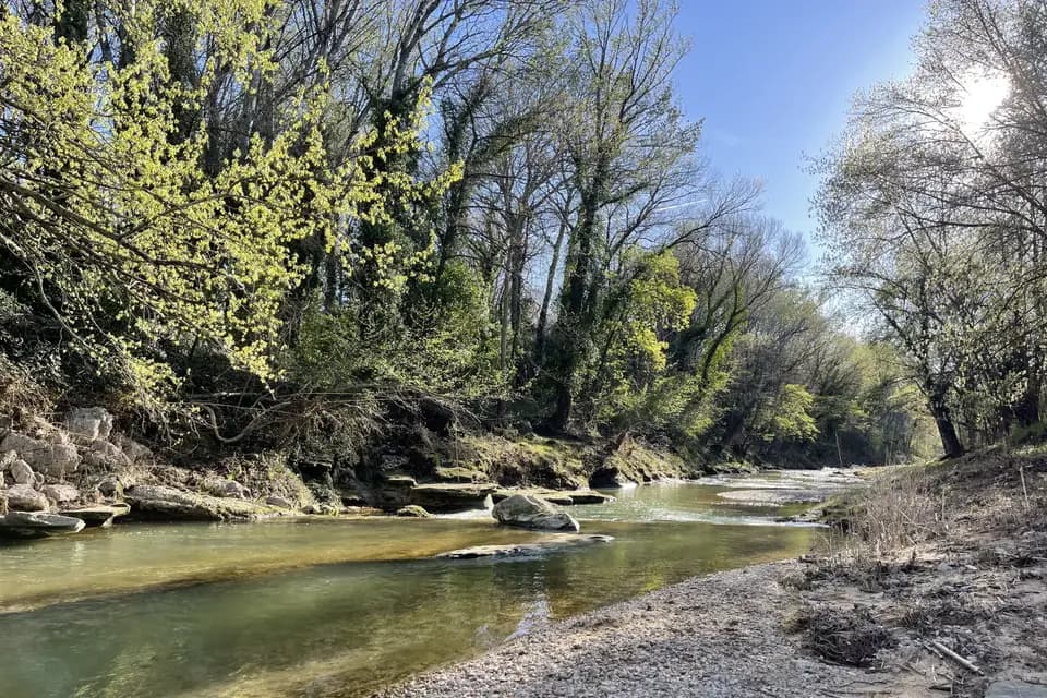 Terres Elaïs — photo 5