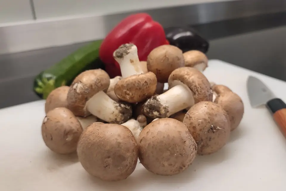 Don Bellone — photo 4