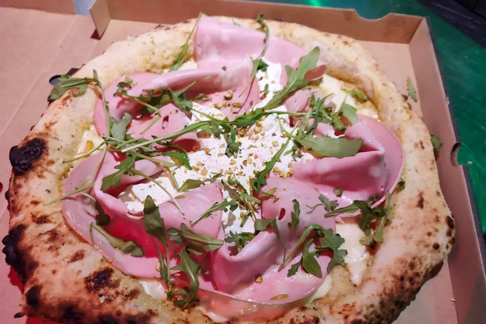 Don Bellone — photo 8