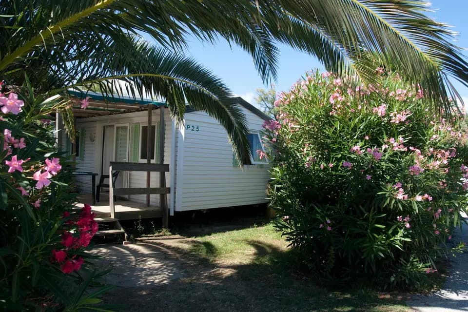 Camping Les Tropiques — photo 7