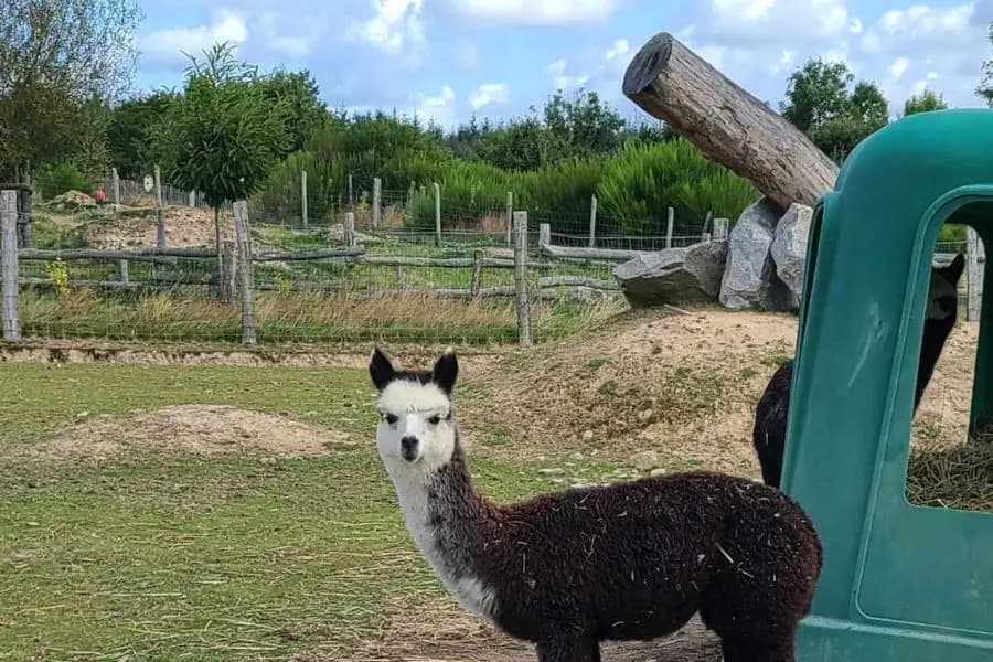 Domaine du Lainé — photo 6