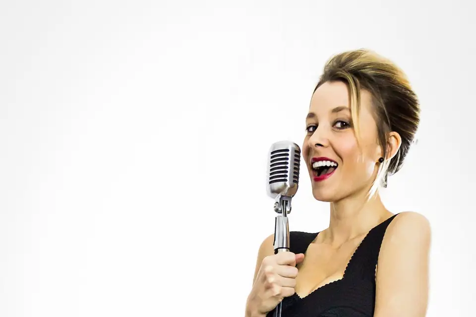 Jazz Manouche pour événements — photo 5