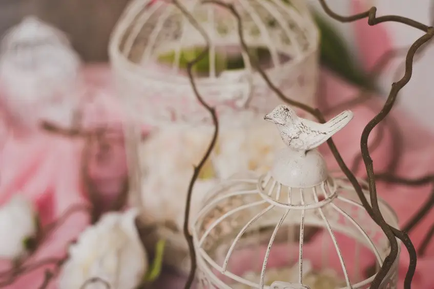 L'élément Déco — photo 2