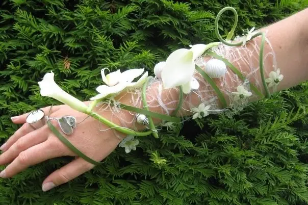 Arum Evénements — photo 2