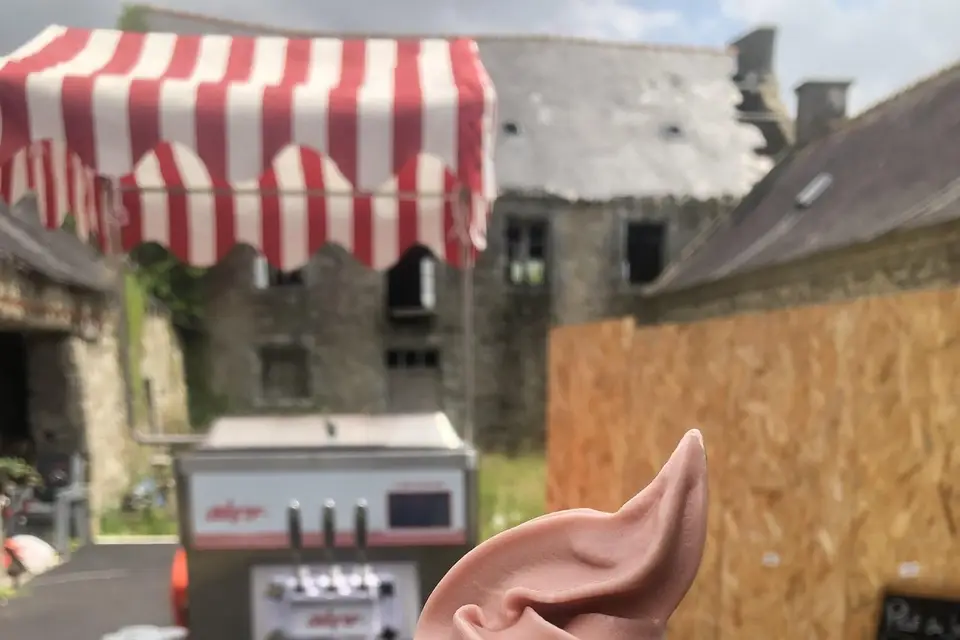 Au Menhir de Ploeven — photo 3