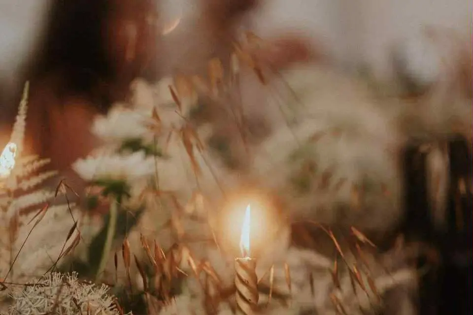 La Marieuse Planneuse — photo 4