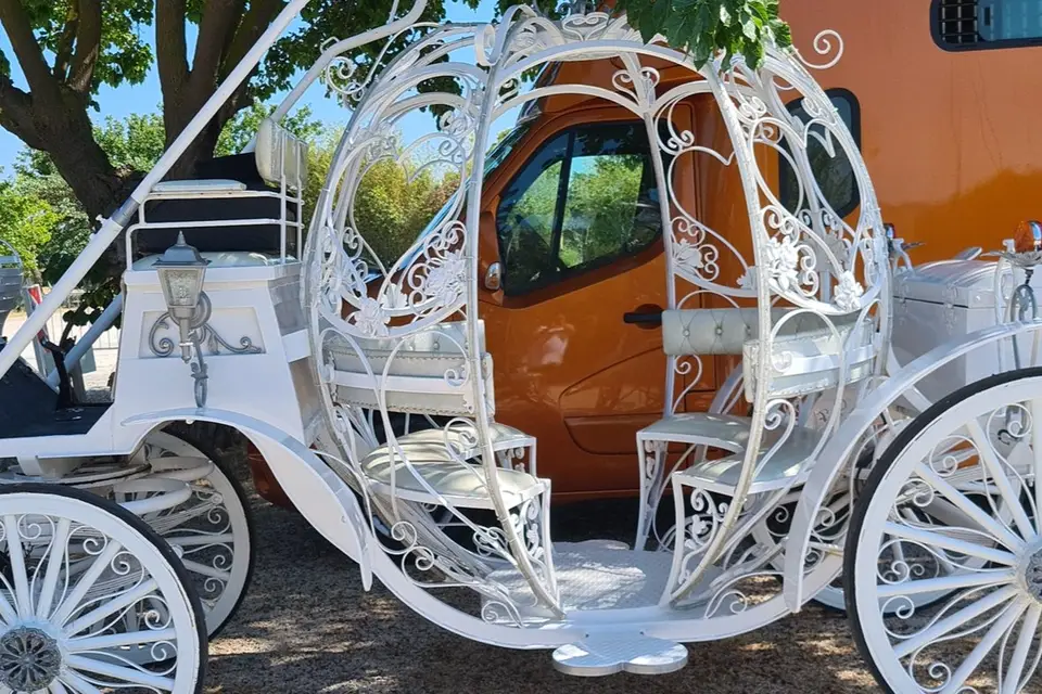 Saly Event's — photo 6