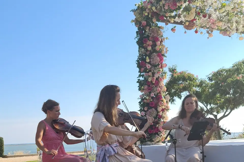 Saly Event's — photo 2