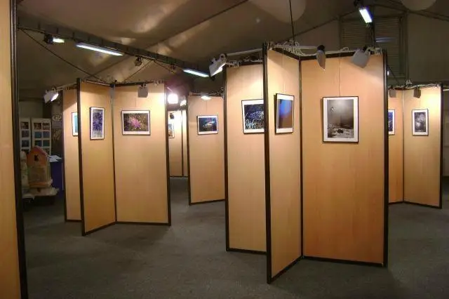 Martel Events — photo 8