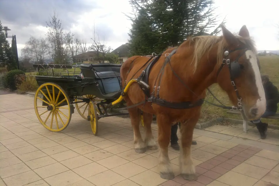 ATC Prestige — photo 6