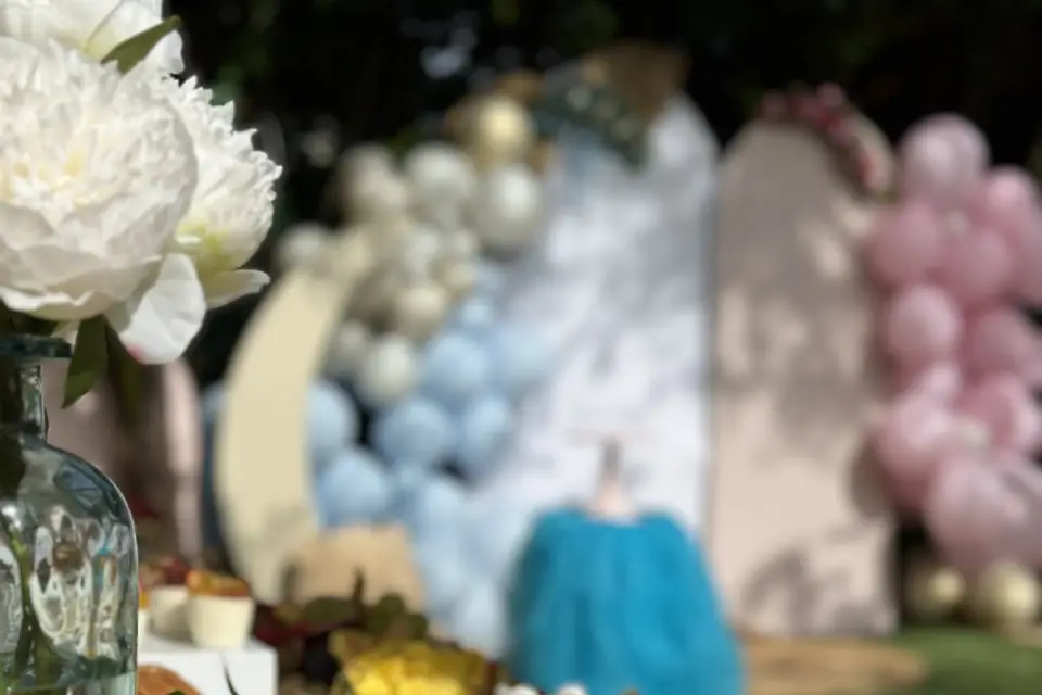 Alina Events — photo 7