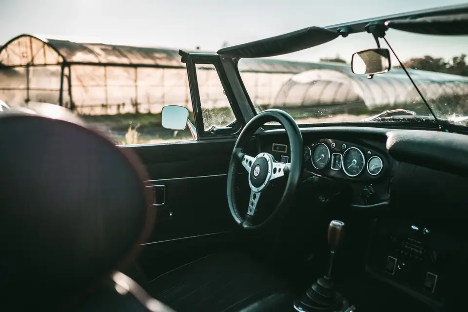 Dreamster — photo 4