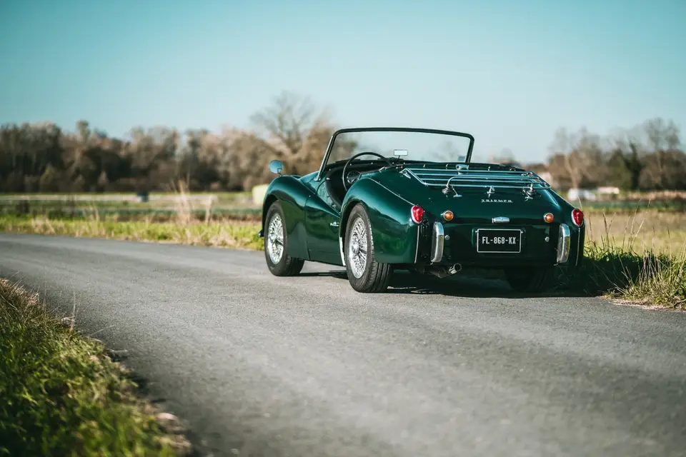 Dreamster — photo 1