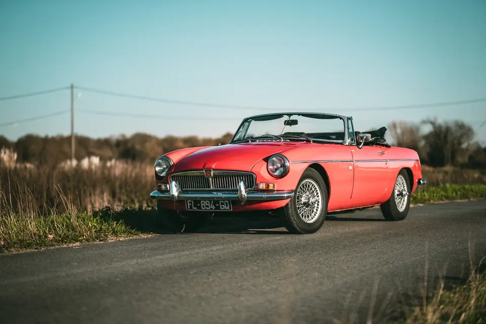 Dreamster — photo 3