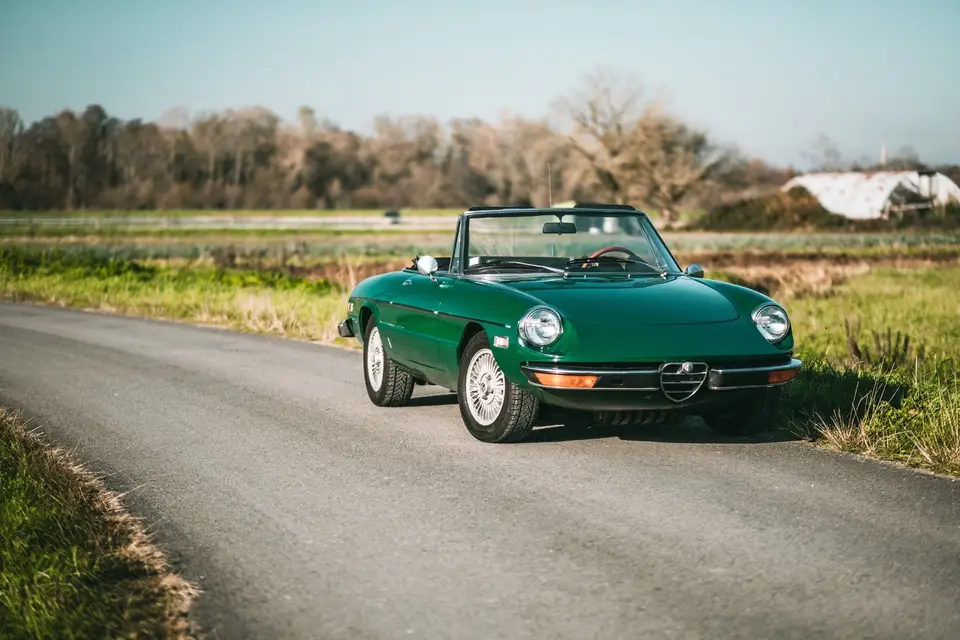 Dreamster — photo 7