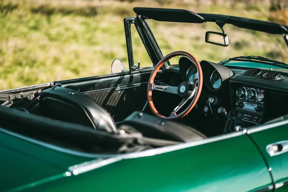 Dreamster — photo 8