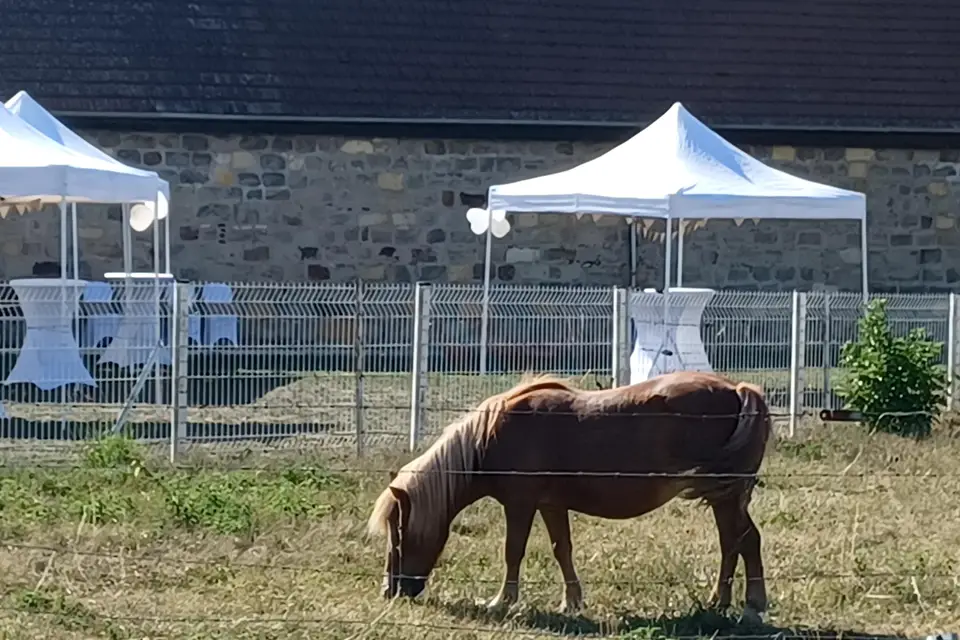 La bergerie — photo 5