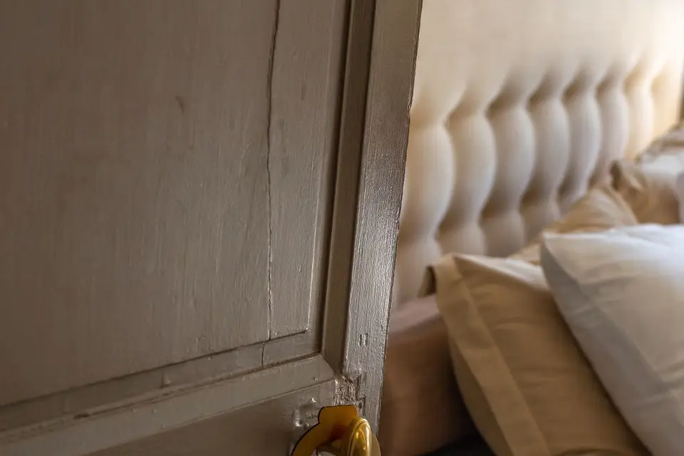 Anima Photo — photo 5