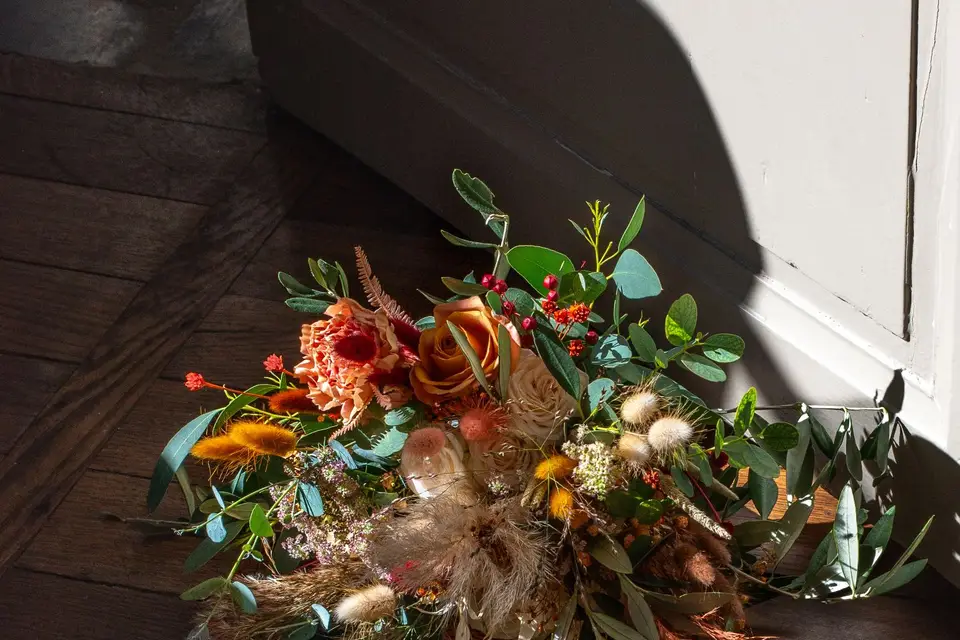 Anima Photo — photo 4