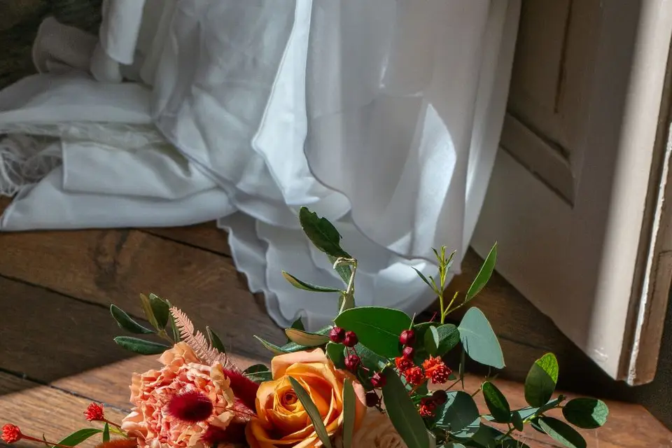 Anima Photo — photo 7