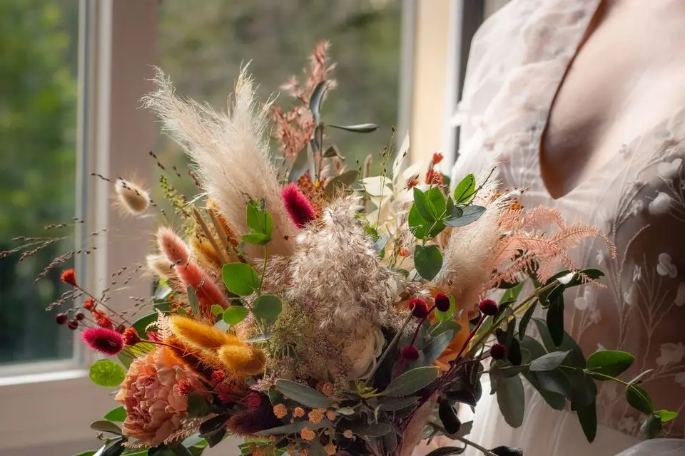 Anima Photo — photo 8