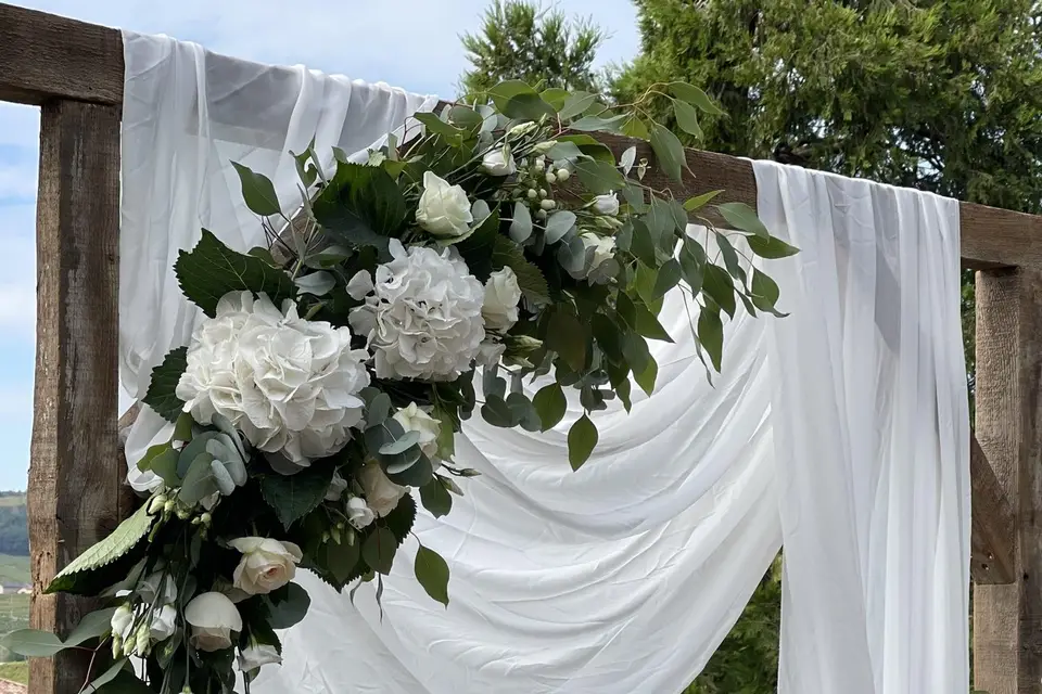 Passiflore — photo 5