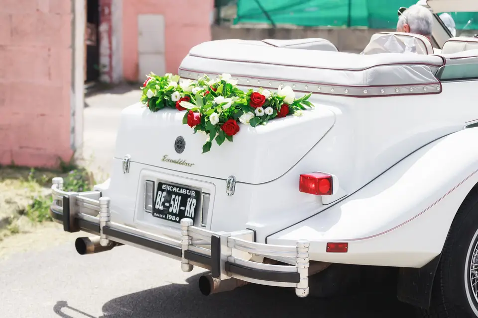 Passiflore — photo 8