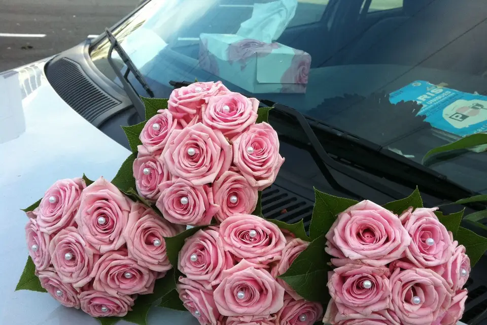 Eventsia — photo 7