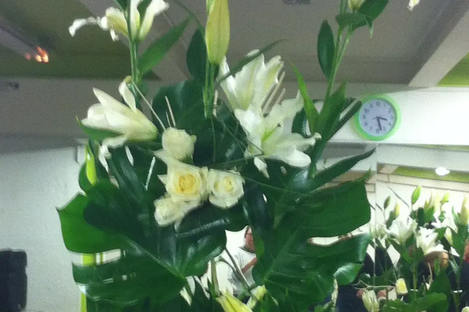 Eventsia — photo 4