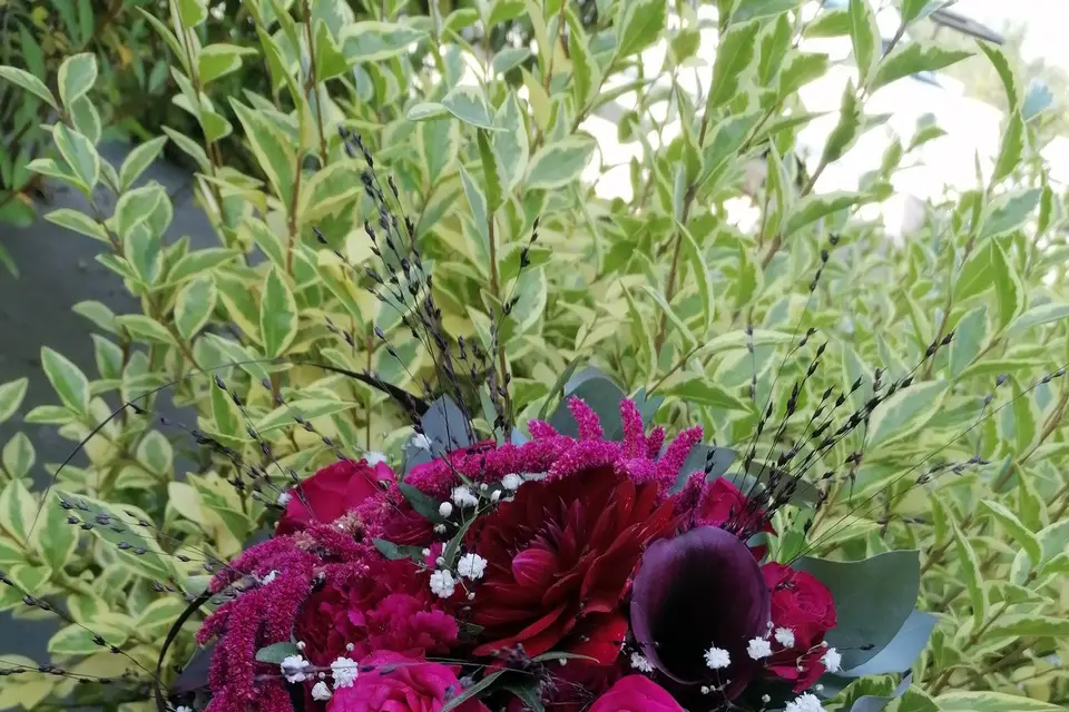 La Vie en Fleurs — photo 3