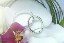 Monsallier Françoise Photographe — photo 7