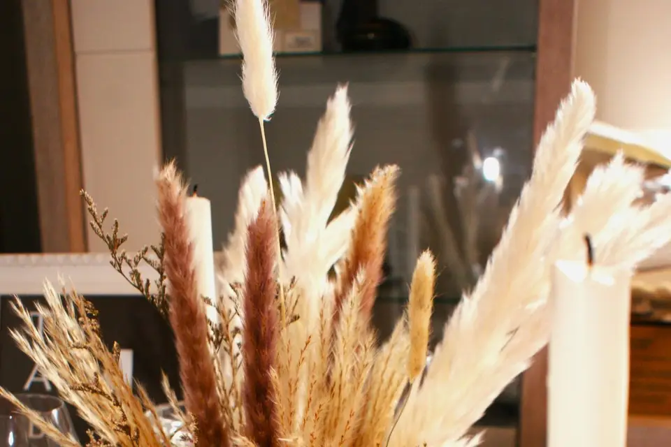 Oui pour la vie — photo 7