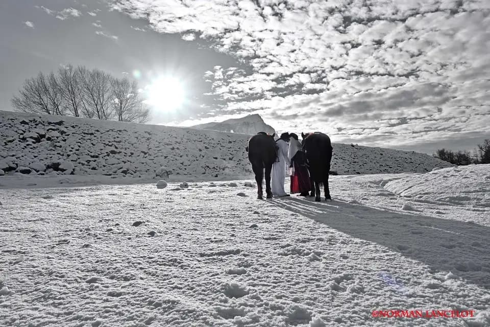 Norman Lancelot — photo 8