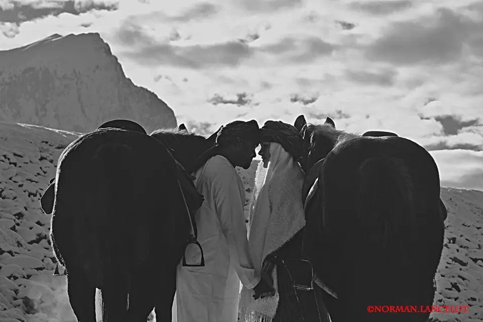 Norman Lancelot — photo 3