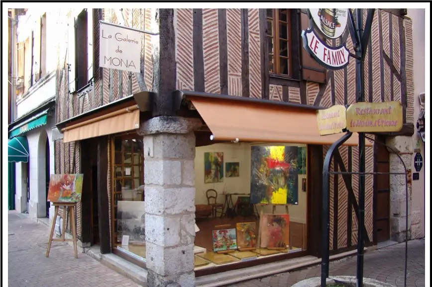 La Galerie de Mona