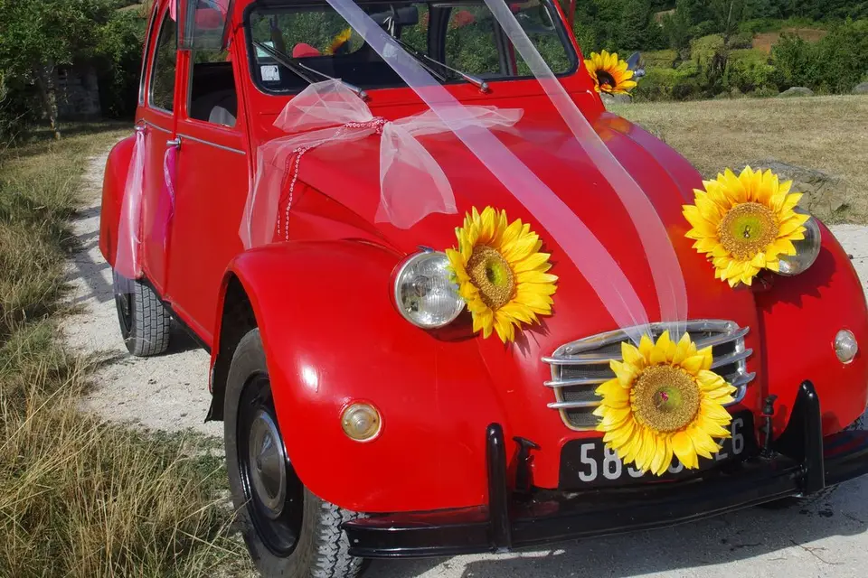 Chloé Dhallenne Photographie — photo 2