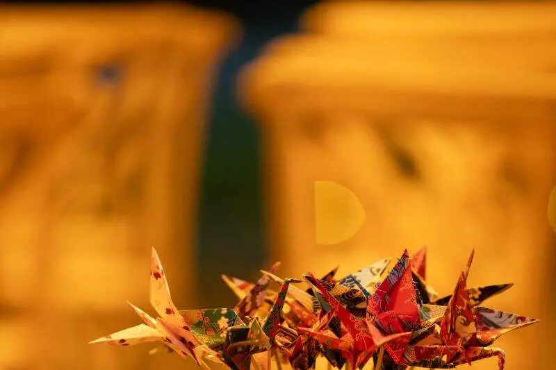 Les Cérémonies du Levant — photo 5