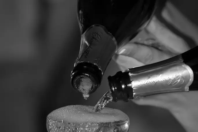 Yohan Tison — photo 8